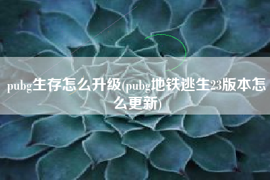 pubg生存怎么升级(pubg地铁逃生23版本怎么更新)