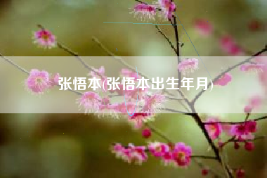 张悟本(张悟本出生年月)