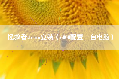 拯救者steam安装（6000配置一台电脑）