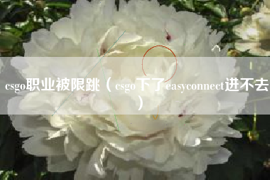 csgo职业被限跳（csgo下了easyconnect进不去）