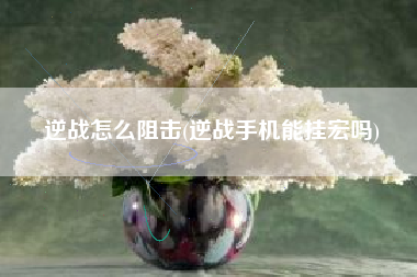 逆战怎么阻击(逆战手机能挂宏吗)