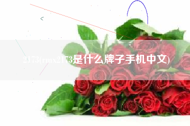 2173(rmx2173是什么牌子手机中文)