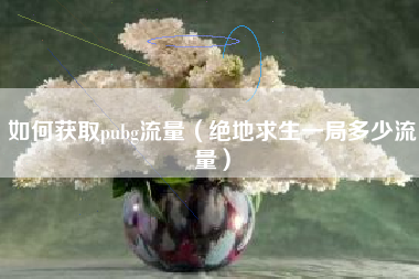 如何获取pubg流量（绝地求生一局多少流量）