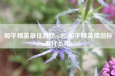 和平精英最佳游戏cp名(和平精英情侣标有什么用)