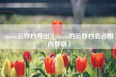 steam云存档导出（steam的云存档会占用内存吗）