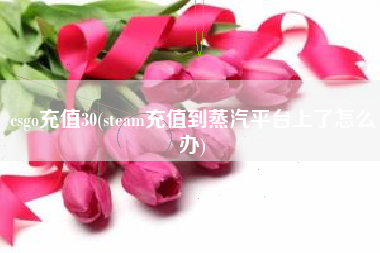 csgo充值30(steam充值到蒸汽平台上了怎么办)