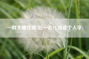 一群大雁往南飞(一会儿排成个人字)