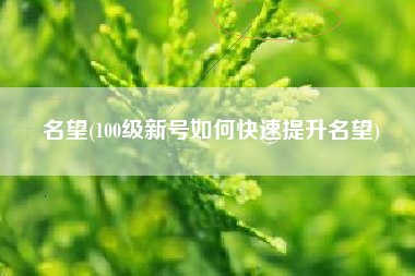 名望(100级新号如何快速提升名望)