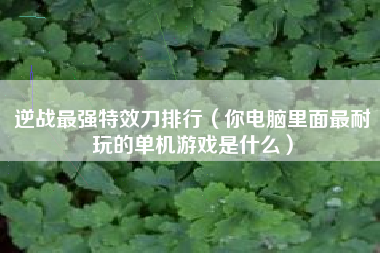 逆战最强特效刀排行（你电脑里面最耐玩的单机游戏是什么）