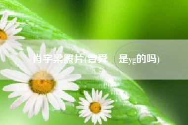 肖宇梁照片(曾舜晞是yg的吗)