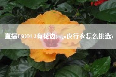 直播CSGO4 3有花边(csgo夜行衣怎么挑选)