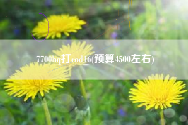 7700hq打cod16(预算4500左右)