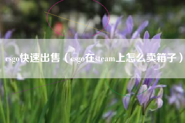 csgo快速出售（csgo在steam上怎么卖箱子）