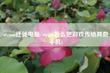 steam迁徙电脑(steam怎么把游戏传给其他手机)