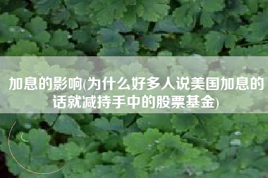 加息的影响(为什么好多人说美国加息的话就减持手中的股票基金)