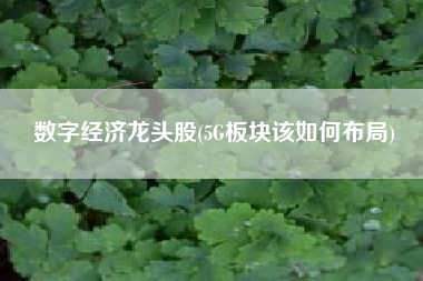 数字经济龙头股(5G板块该如何布局)