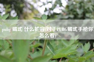 pubg 蝎式 什么扩容(对于PUBG蝎式手枪你怎么看)