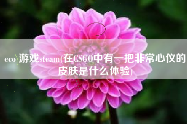 eco 游戏steam(在CSGO中有一把非常心仪的皮肤是什么体验)