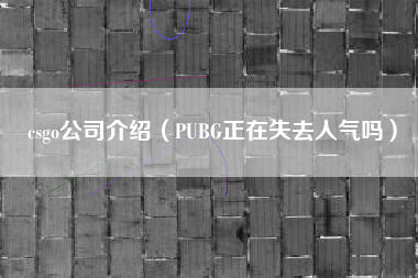 csgo公司介绍（PUBG正在失去人气吗）