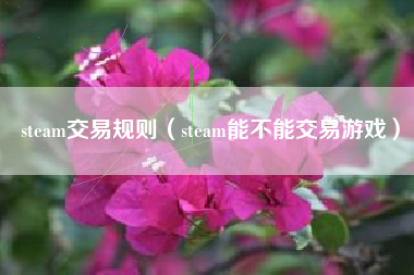 steam交易规则（steam能不能交易游戏）