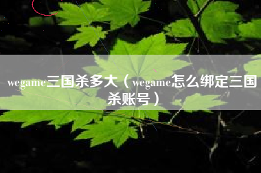 wegame三国杀多大（wegame怎么绑定三国杀账号）