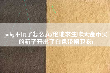 pubg不玩了怎么卖(绝地求生昨天金币买的箱子开出了白色带帽卫衣)