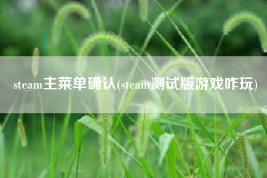 steam主菜单确认(steam测试版游戏咋玩)