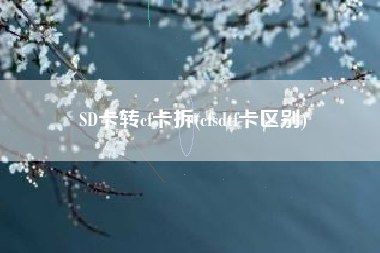 SD卡转cf卡拆(cfsdtf卡区别)