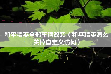 和平精英全部车辆改装（和平精英怎么关掉自定义访问）