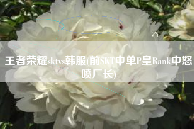 王者荣耀sktvs韩服(前SKT中单P皇Rank中怒喷厂长)