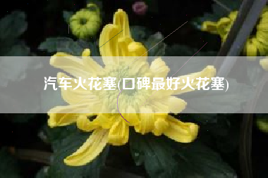 汽车火花塞(口碑最好火花塞)