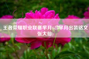 王者荣耀职业联赛芈月(s23芈月出装铭文张大仙)