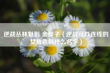 逆战丛林魅影 金胖子（逆战可以连线的女角色叫什么名字）