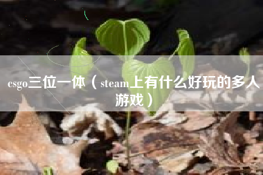 csgo三位一体（steam上有什么好玩的多人游戏）