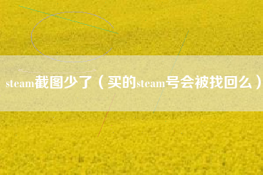 steam截图少了（买的steam号会被找回么）