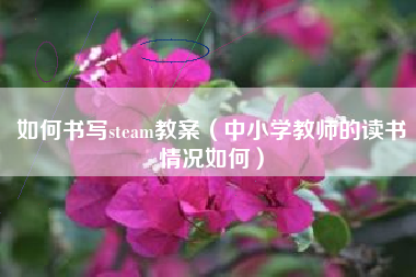 如何书写steam教案（中小学教师的读书情况如何）