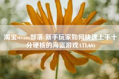 淘宝steam部落(新手玩家如何快速上手十分硬核的海盗游戏ATLAS)