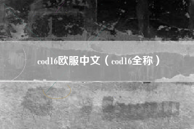 cod16欧服中文（cod16全称）