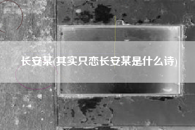 长安某(其实只恋长安某是什么诗)