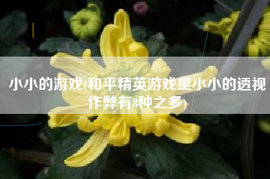 小小的游戏(和平精英游戏里小小的透视作弊有8种之多)