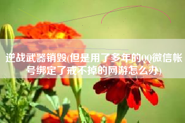 逆战武器销毁(但是用了多年的QQ微信帐号绑定了戒不掉的网游怎么办)