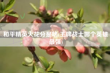 和平精英火花分是啥(王牌战士哪个英雄最强)