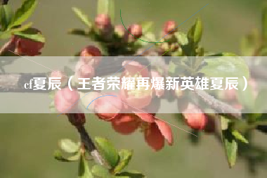 cf夏辰（王者荣耀再爆新英雄夏辰）