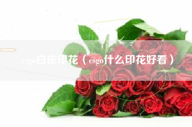 csgo白皮印花（csgo什么印花好看）