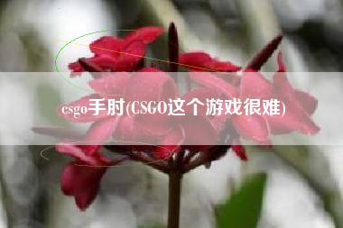 csgo手肘(CSGO这个游戏很难)