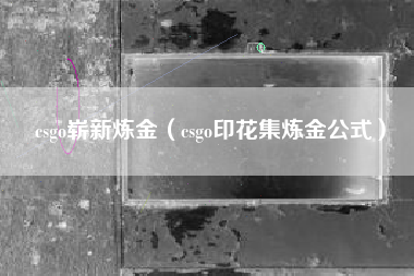 csgo崭新炼金（csgo印花集炼金公式）