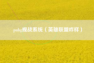 pubg观战系统（英雄联盟咋样）