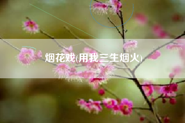 烟花戏(用我三生烟火)