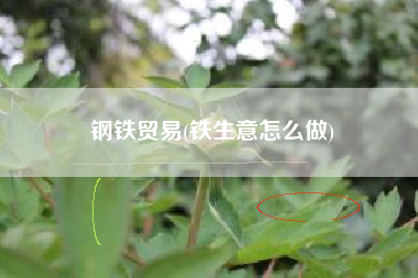 钢铁贸易(铁生意怎么做)