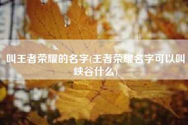 叫王者荣耀的名字(王者荣耀名字可以叫峡谷什么)